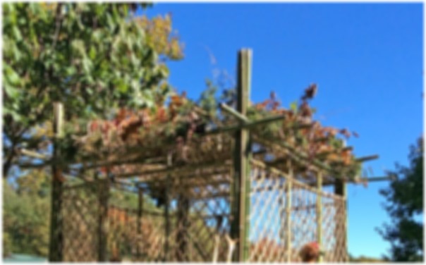 top of a sukkah