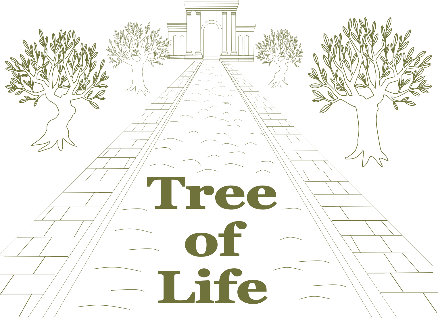 line drawing of a river flowing from the front of the Temple.  On each side of the river is a sidewalk, and on the outside of each sidewalk is two olive trees